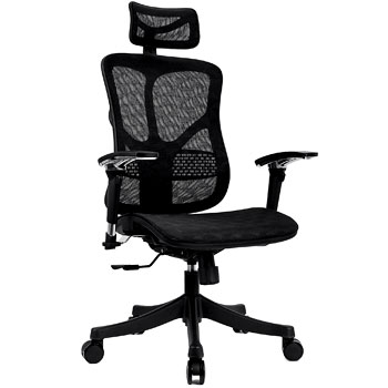 Argomax Mesh Office Chair High Back with Adjustable Headrest
