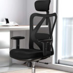 Duramont Adjustable Office Chair Review (with Lumbar Support)
