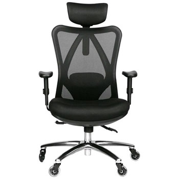 Duramont Ergonomic Adjustable Office Chair with Lumbar Support and Rollerblade Wheels