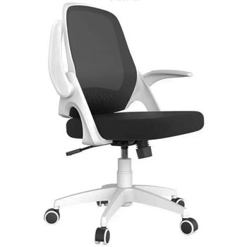 Hbada Office Task Desk Chair with Flip-up Arms