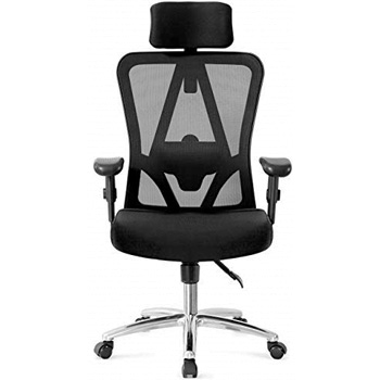 Ticova Ergonomic Office Chair with Adjustable Headrest Armrest and Lumbar Support
