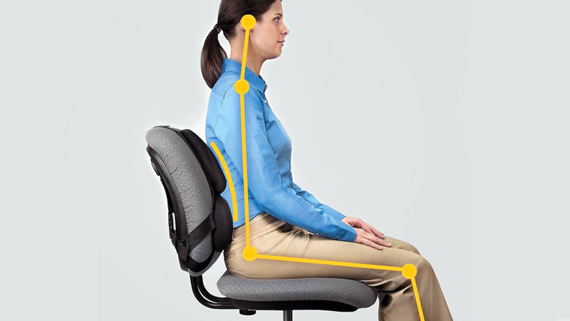 6 Best Back Support For Office Chairs - (Reviews & Buying Guide 2021)